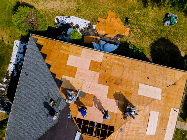 Best Roof Maintenance Services  in Douglass Hills, KY