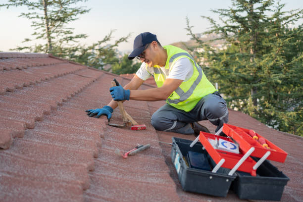 Roof Gutter Cleaning in Douglass Hills, KY